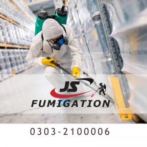 Bed Bug karachi Mosquito Fumigation